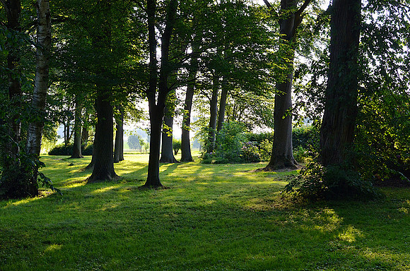 Garten 002